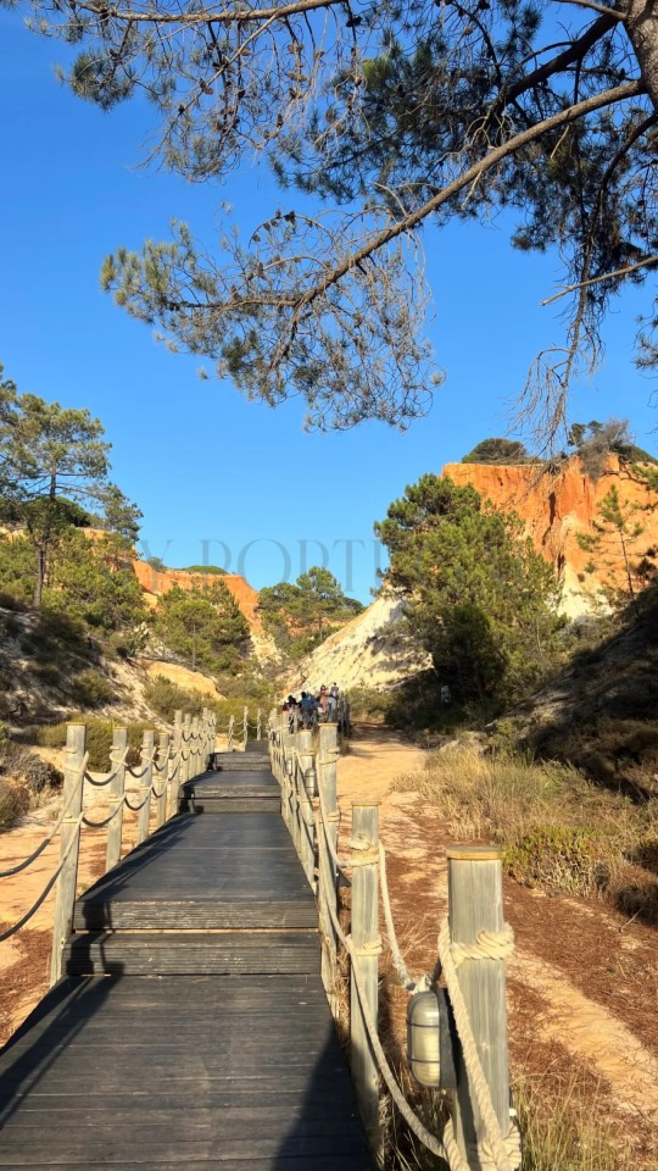 Moradia T2 para Venda em Alte Foto 32