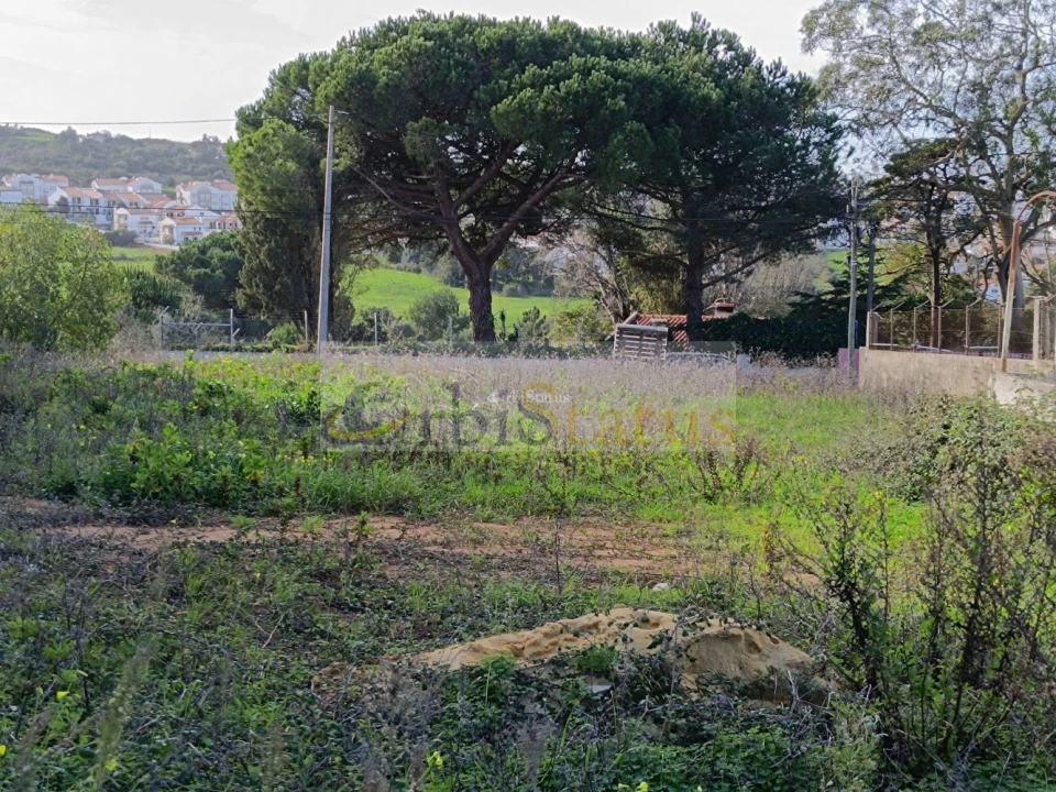 Terreno para Venda em Sesimbra (Castelo) Foto 6