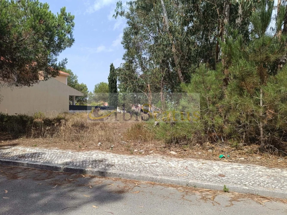 Terreno para Venda em Sesimbra (Castelo) Foto 10