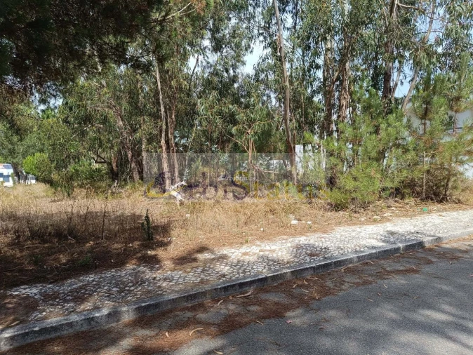 Terreno para Venda em Sesimbra (Castelo) Foto 9