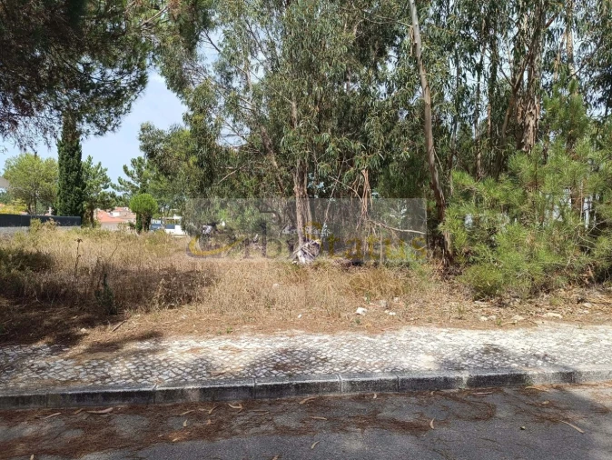 Terreno para Venda em Sesimbra (Castelo) Foto 11