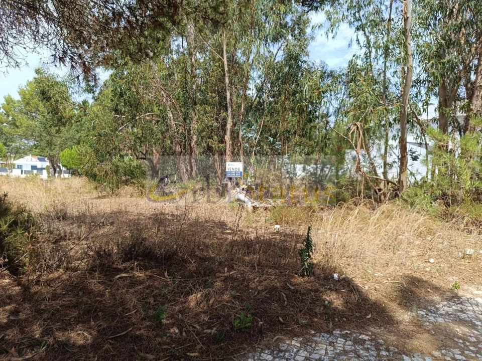 Terreno para Venda em Sesimbra (Castelo) Foto 4