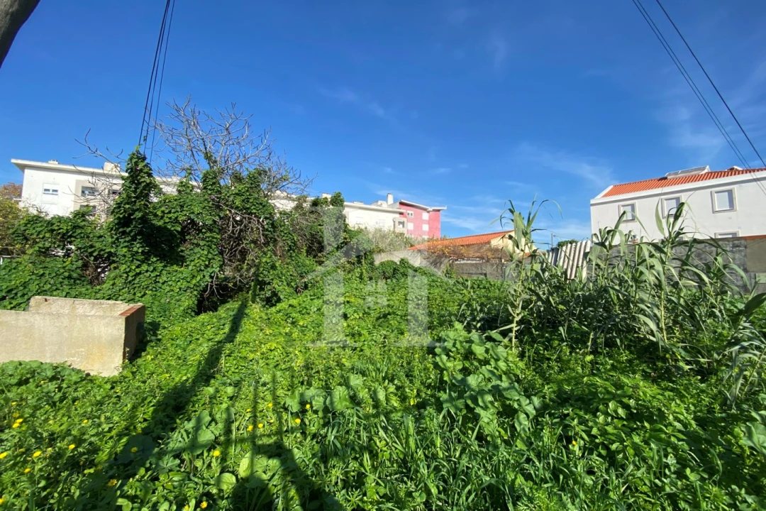 Terreno Agricola ou Rústico para Venda em Ajuda Foto 6