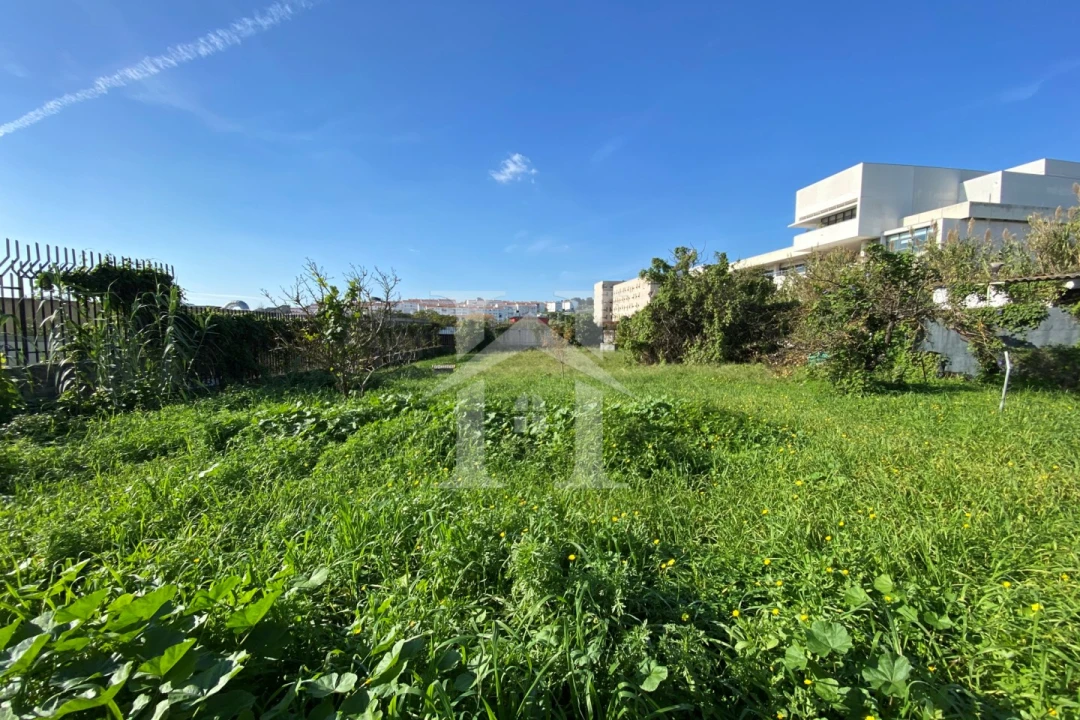 Terreno Agricola ou Rústico para Venda em Ajuda Foto 7