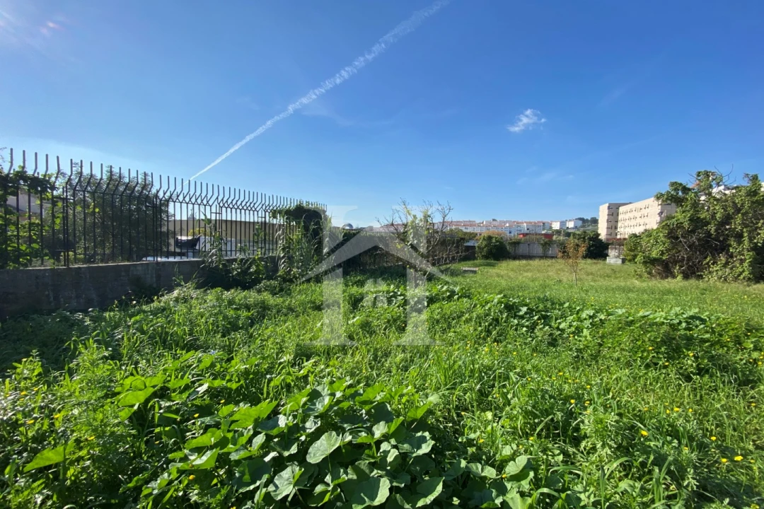 Terreno Agricola ou Rústico para Venda em Ajuda Foto 8