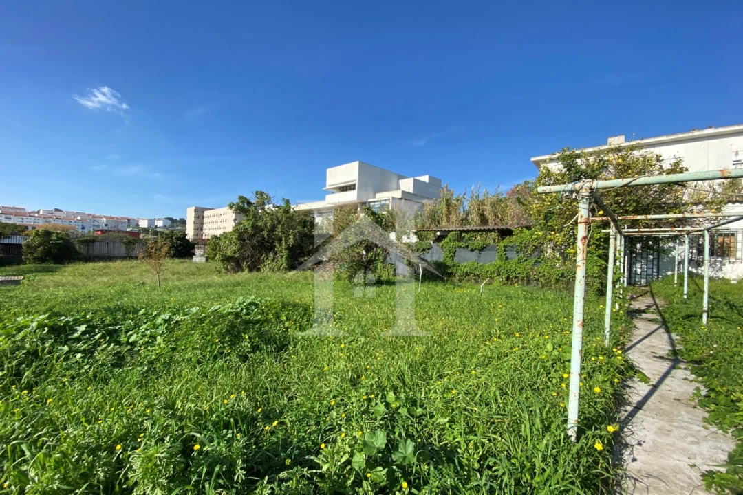 Terreno Agricola ou Rústico para Venda em Ajuda Foto 2