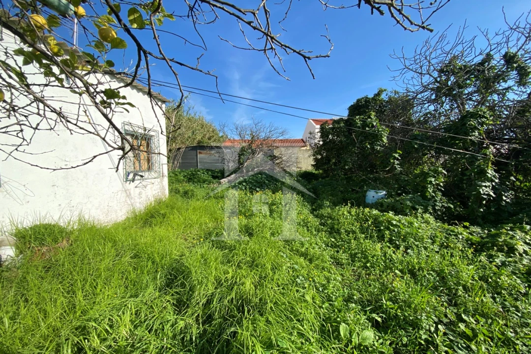 Terreno Agricola ou Rústico para Venda em Ajuda Foto 10