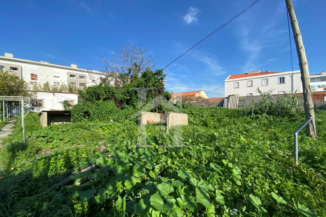 Terreno Agricola ou Rústico para Venda em Ajuda Foto 14