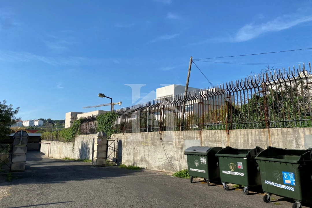 Terreno Agricola ou Rústico para Venda em Ajuda Foto 15