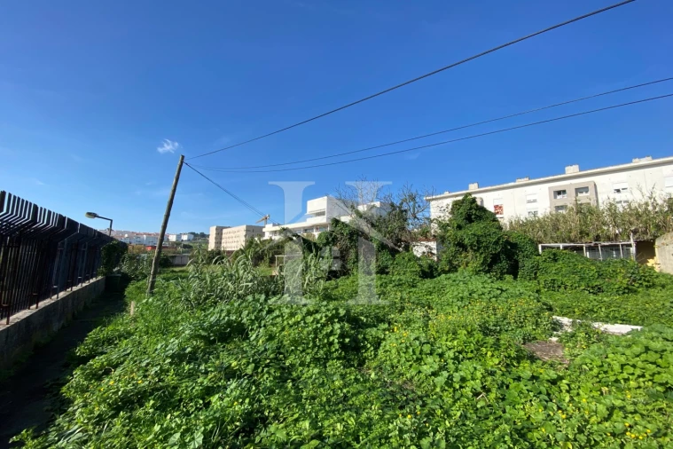 Terreno Agricola ou Rústico para Venda em Ajuda Foto 3
