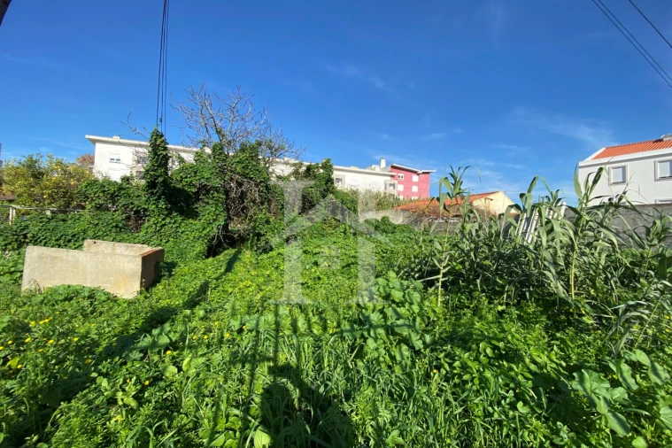 Terreno Agricola ou Rústico para Venda em Ajuda Foto 4