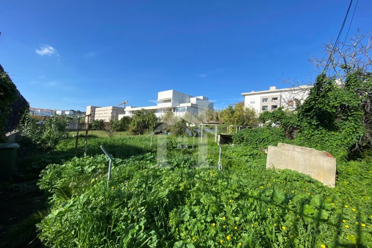 Terreno Agricola ou Rústico para Venda em Ajuda Foto 5