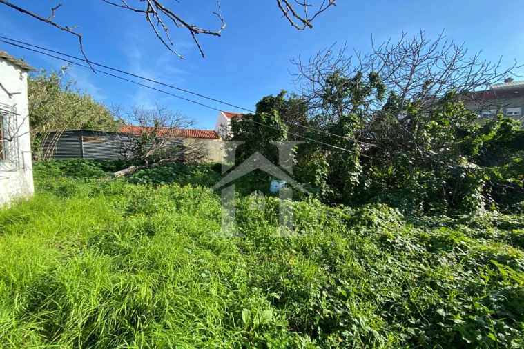 Terreno Agricola ou Rústico para Venda em Ajuda Foto 9