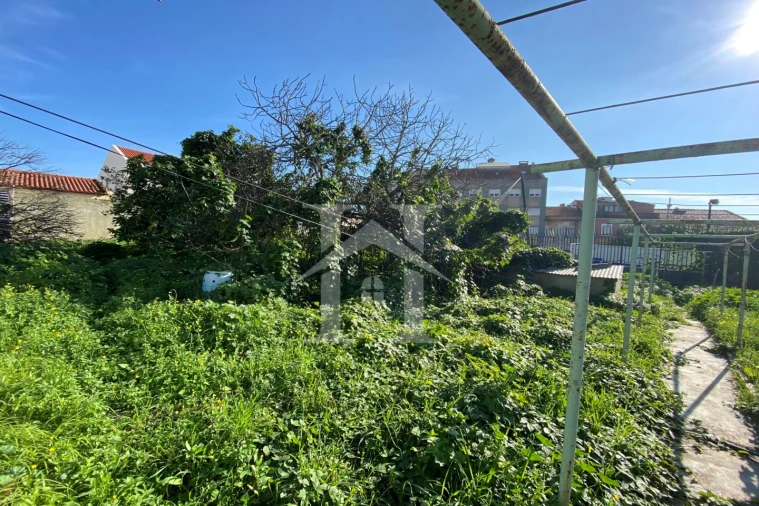 Terreno Agricola ou Rústico para Venda em Ajuda Foto 11
