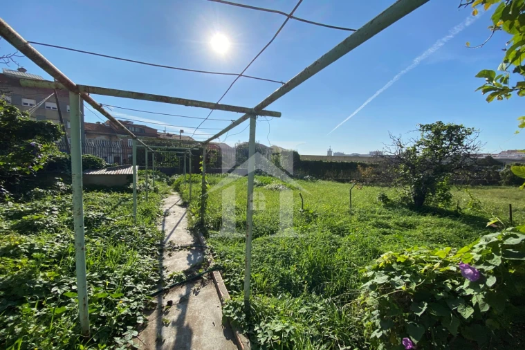 Terreno Agricola ou Rústico para Venda em Ajuda Foto 13