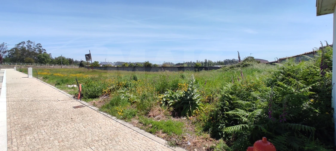 Terreno para Venda em Gião Foto 7