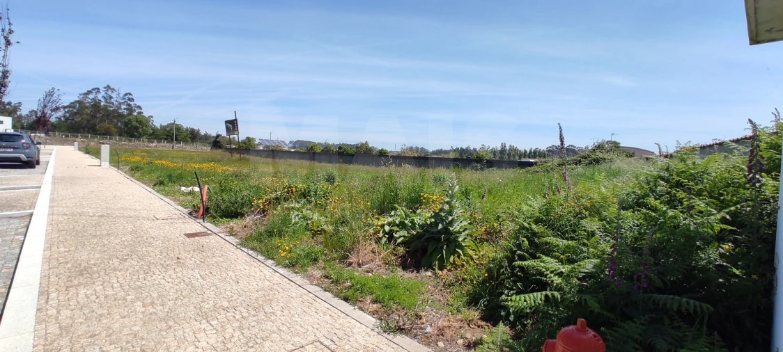 Terreno para Venda em Gião Foto 8