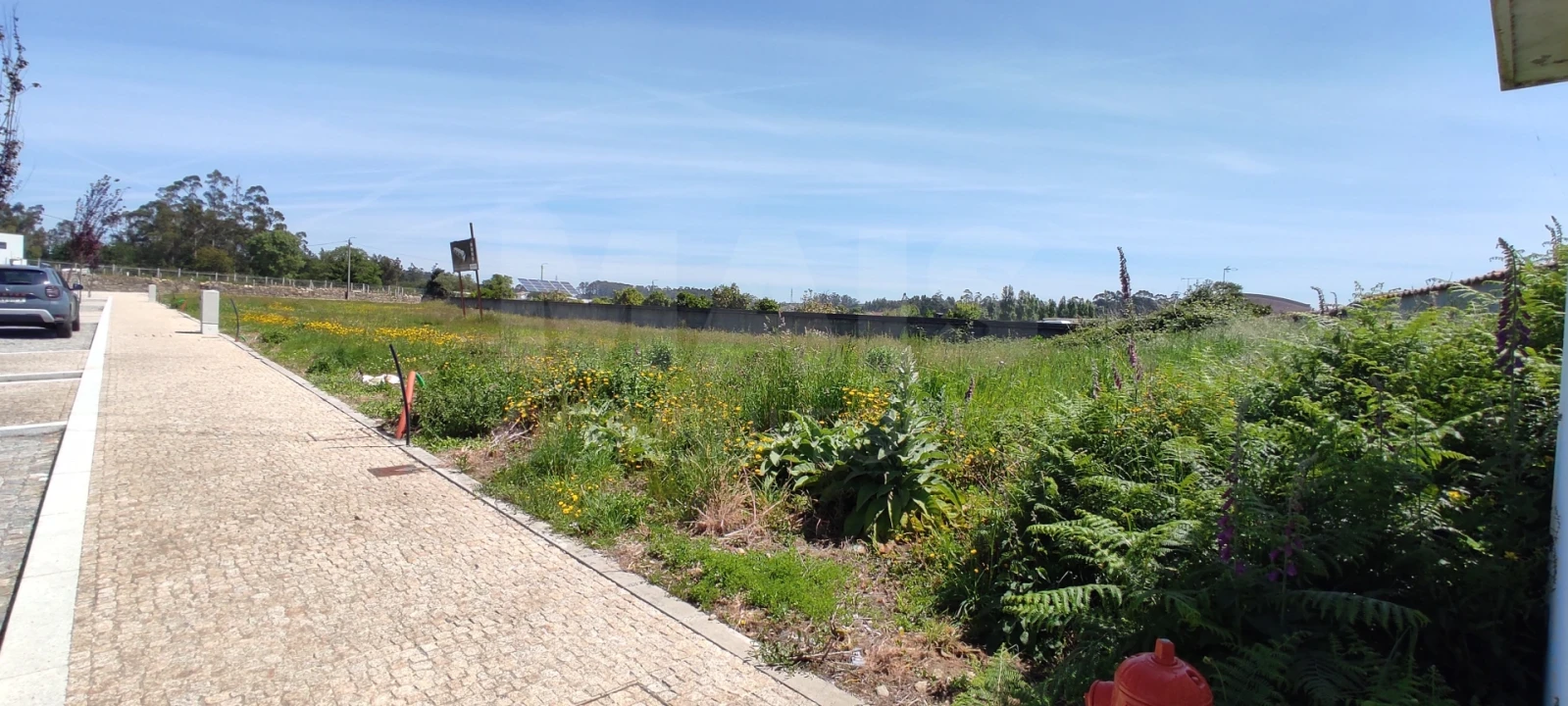 Terreno para Venda em Gião Foto 8