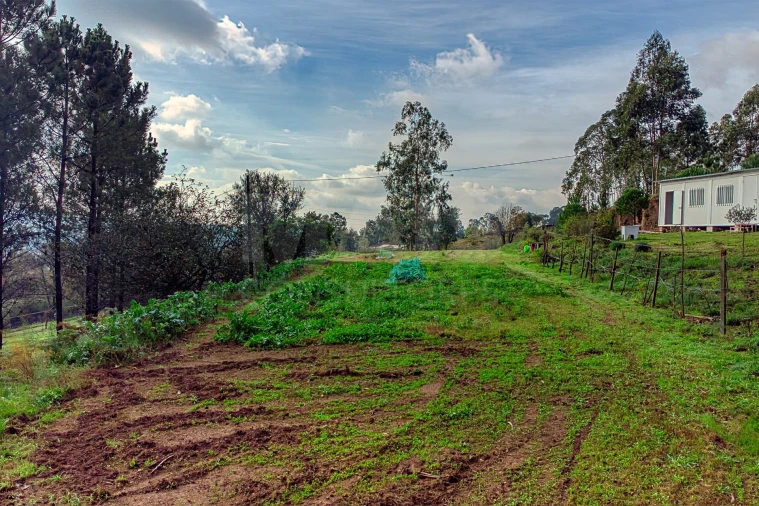 Terreno para Venda em Lamelas e Guimarei Foto 5