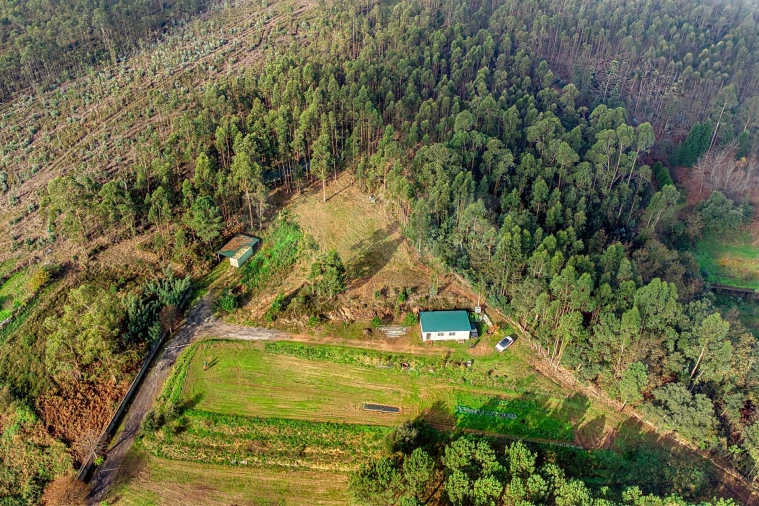 Terreno para Venda em Lamelas e Guimarei Foto 7