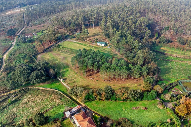 Terreno para Venda em Lamelas e Guimarei Foto 8