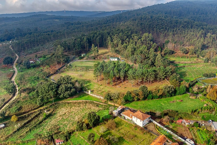 Terreno para Venda em Lamelas e Guimarei Foto 9