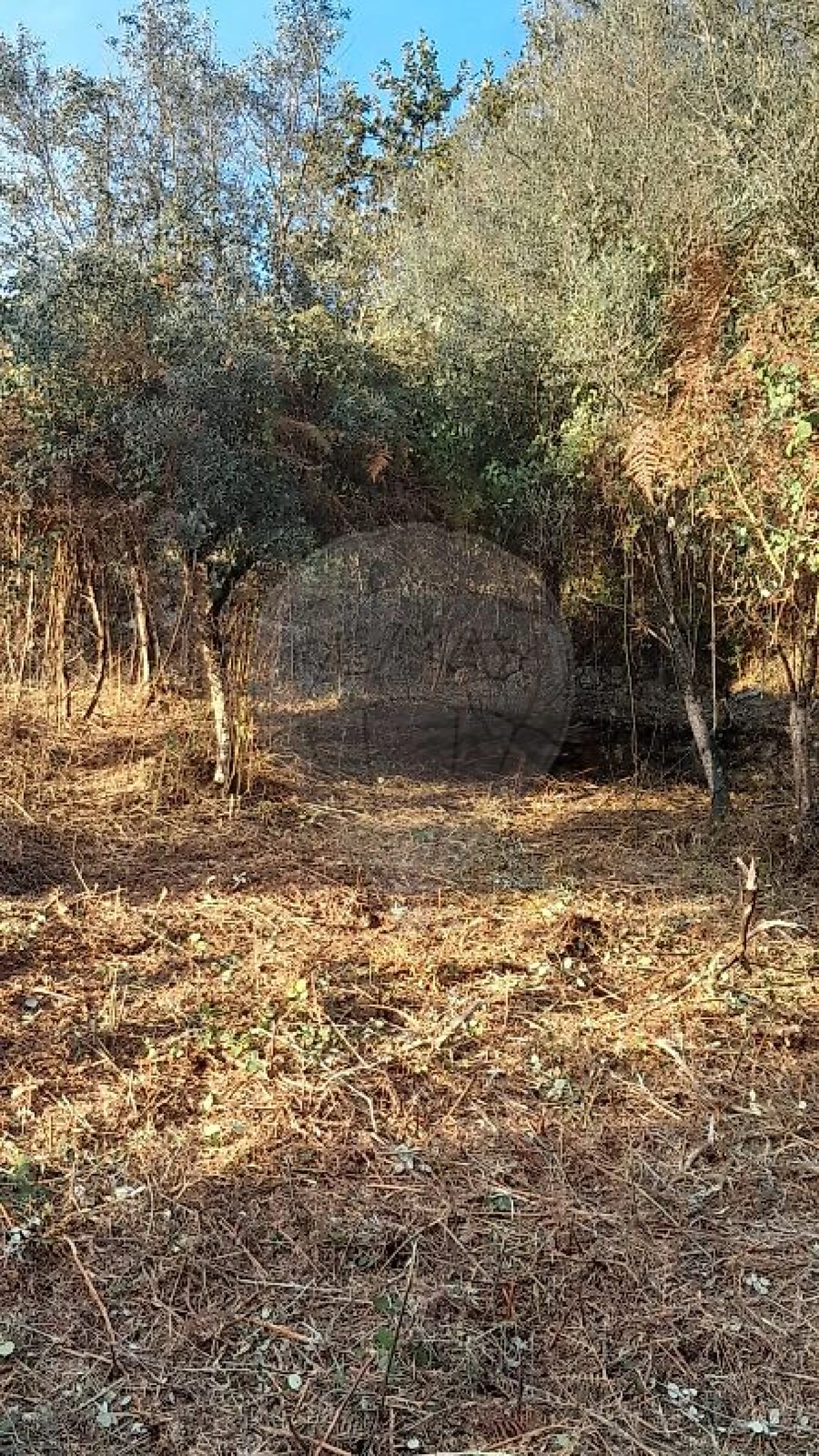 Terreno para Venda em Rossas Foto 12