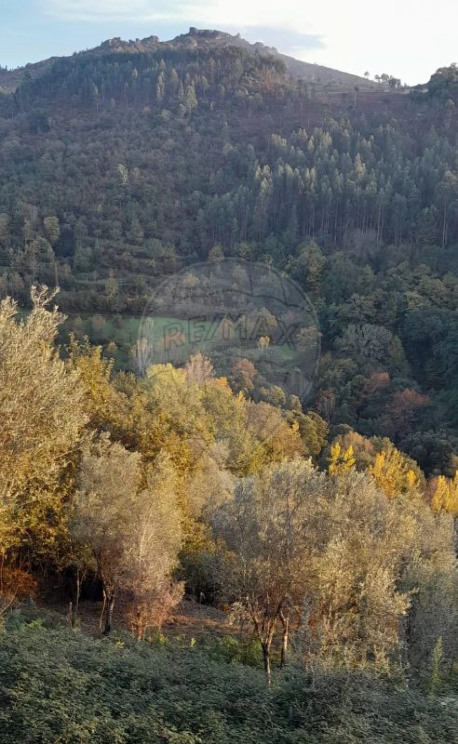 Terreno para Venda em Rossas Foto 4