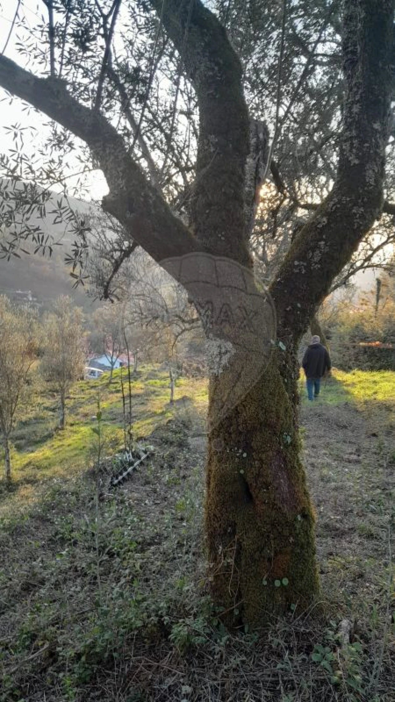 Terreno para Venda em Rossas Foto 15