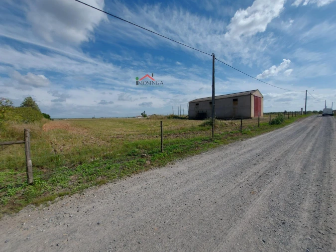 Moradia para Venda em Ferreira do Alentejo e Canhestros Foto 15