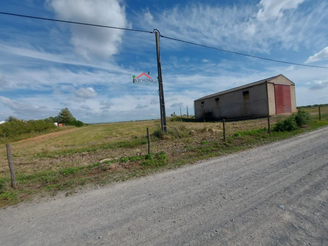 Moradia para Venda em Ferreira do Alentejo e Canhestros Foto 16