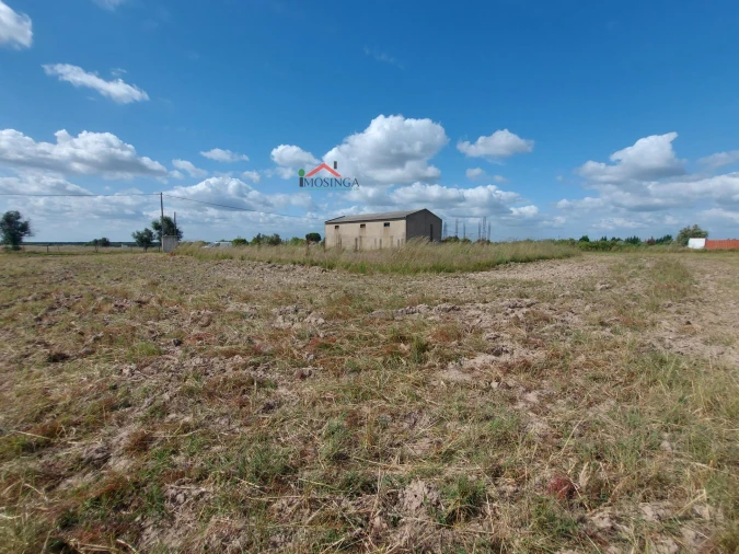 Moradia para Venda em Ferreira do Alentejo e Canhestros Foto 5