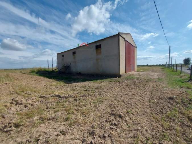 Moradia para Venda em Ferreira do Alentejo e Canhestros Foto 9