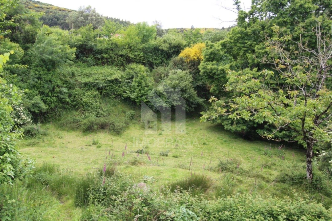 Quinta T3 para Venda em Longos Vales Foto 18