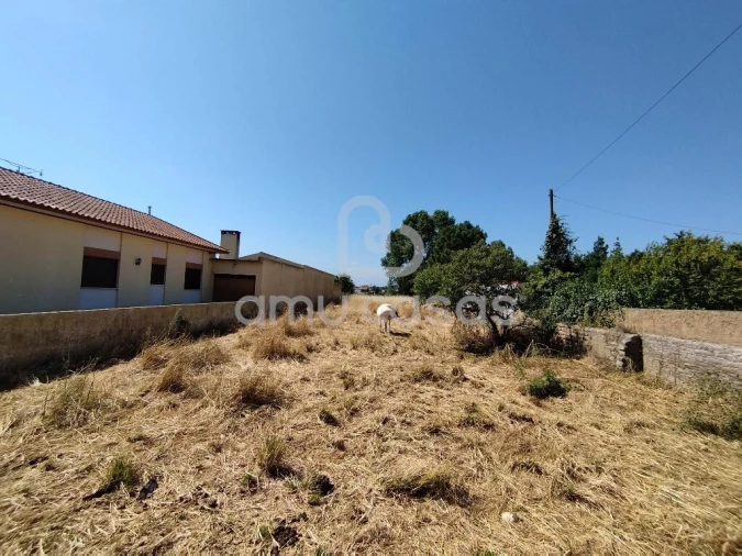 Terreno para Venda em Beduído e Veiros Foto 3