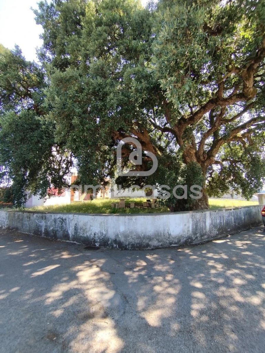Terreno para Venda em Beduído e Veiros Foto 7