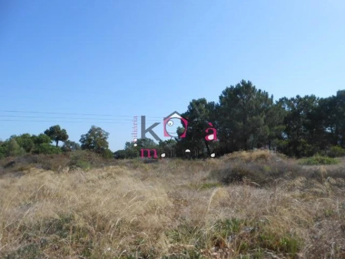 Terreno para Venda em Santo Antonio da Charneca Foto 4