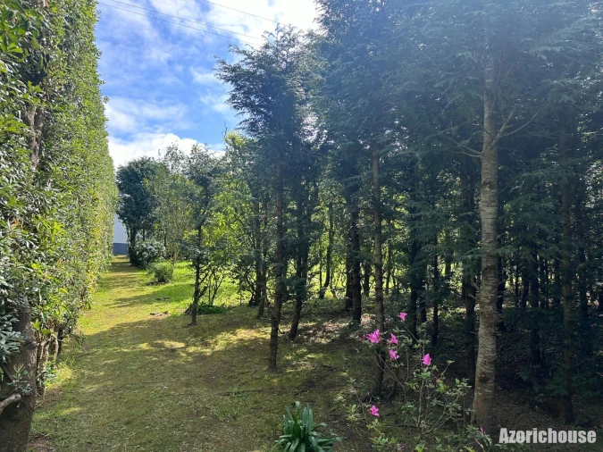 Moradia T9 para Venda em Rabo de Peixe Foto 27