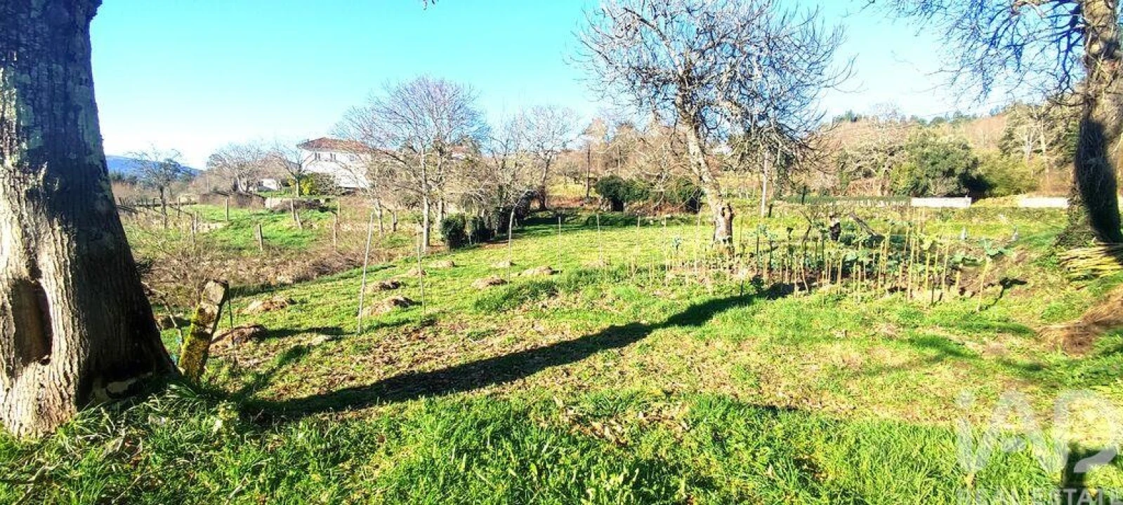 Moradia T2 para Venda em Coura Foto 29