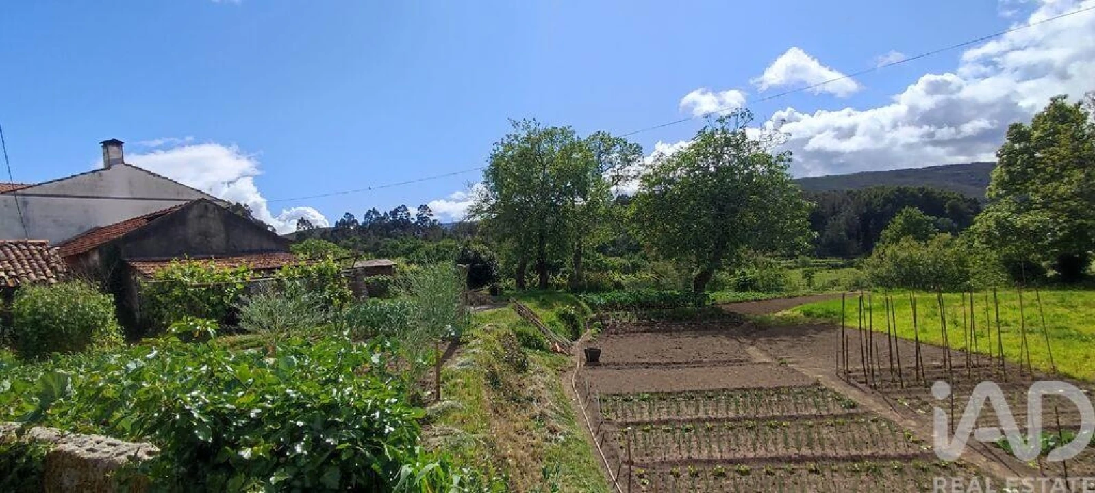 Moradia T2 para Venda em Coura Foto 25