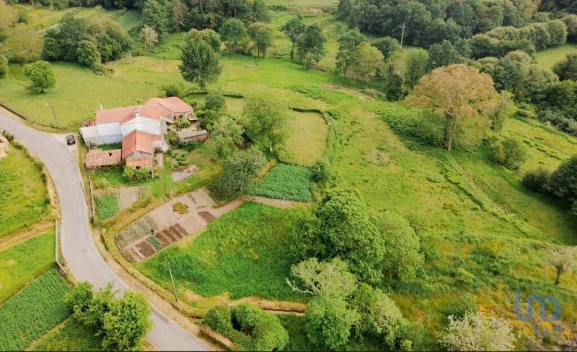 Moradia T2 para Venda em Coura Foto 3