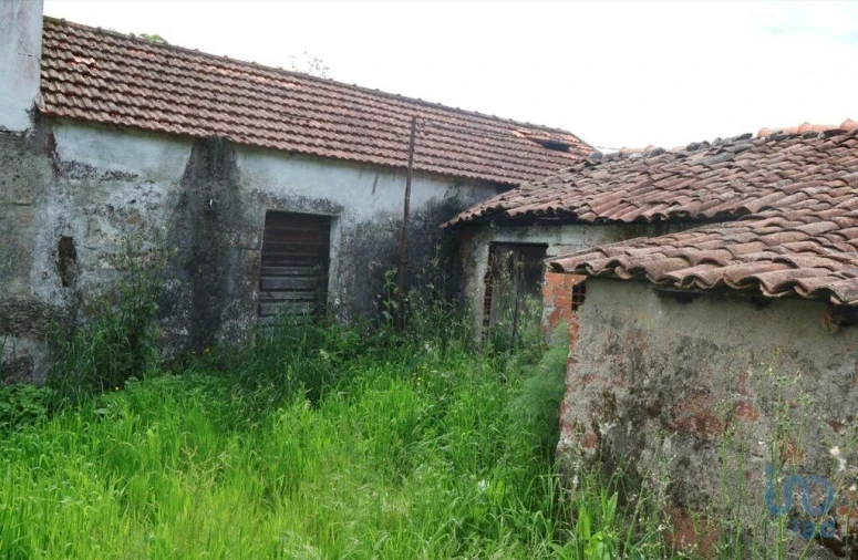 Moradia T2 para Venda em Coura Foto 8