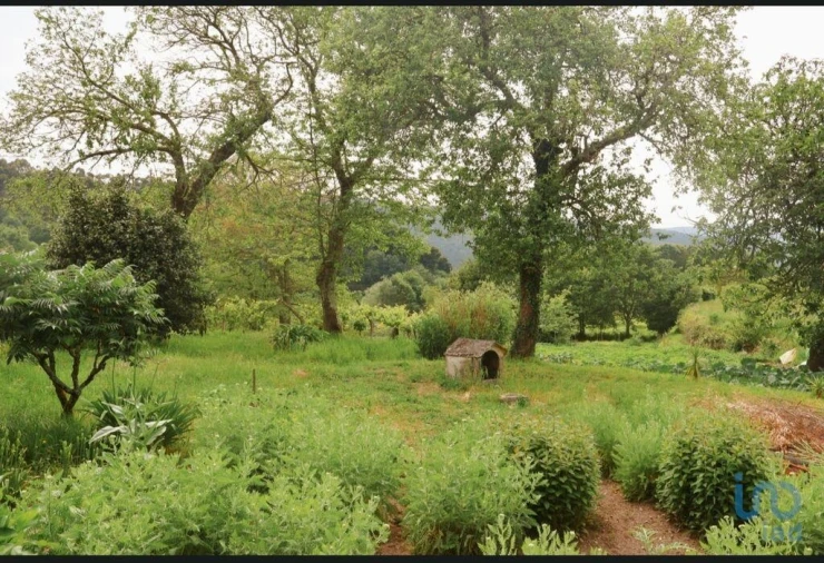 Moradia T2 para Venda em Coura Foto 7