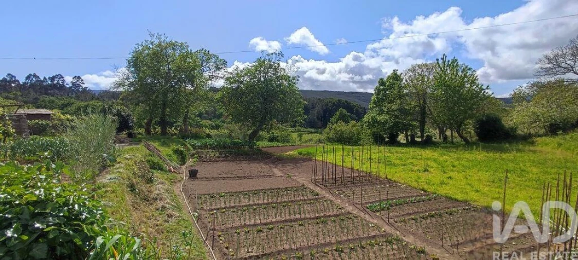 Moradia T2 para Venda em Coura Foto 21