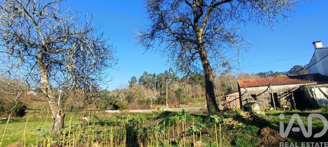 Moradia T2 para Venda em Coura Foto 28