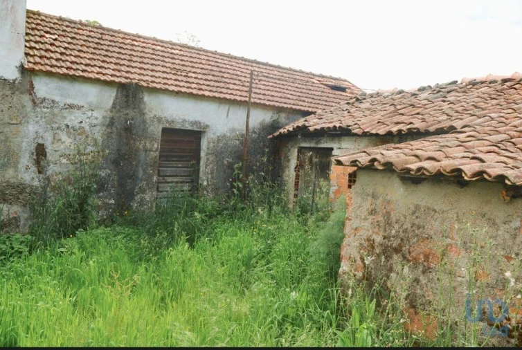 Moradia T2 para Venda em Coura Foto 4