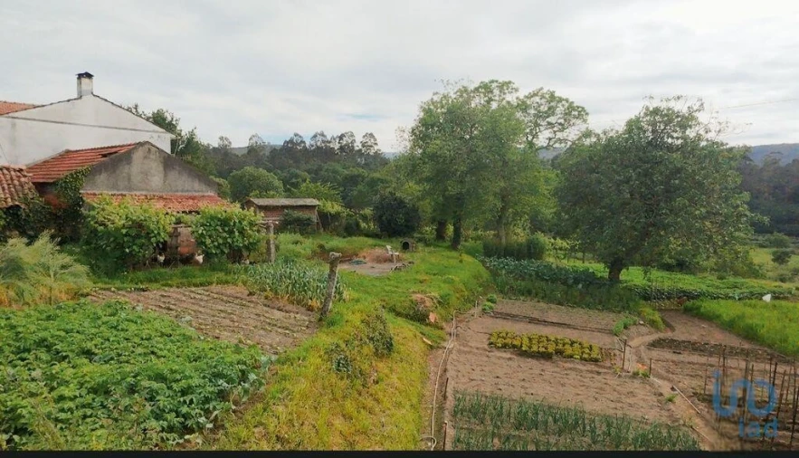 Moradia T2 para Venda em Coura Foto 2