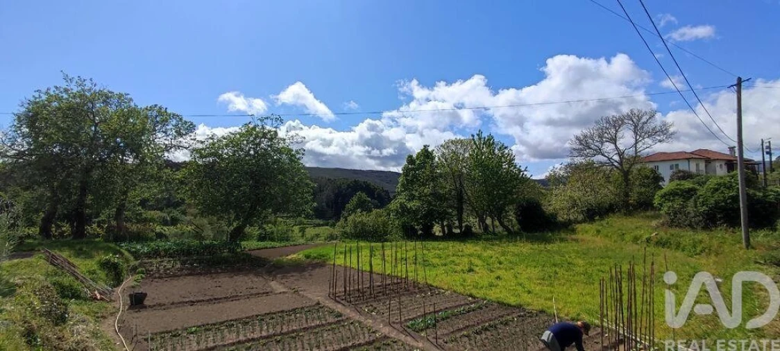 Moradia T2 para Venda em Coura Foto 26