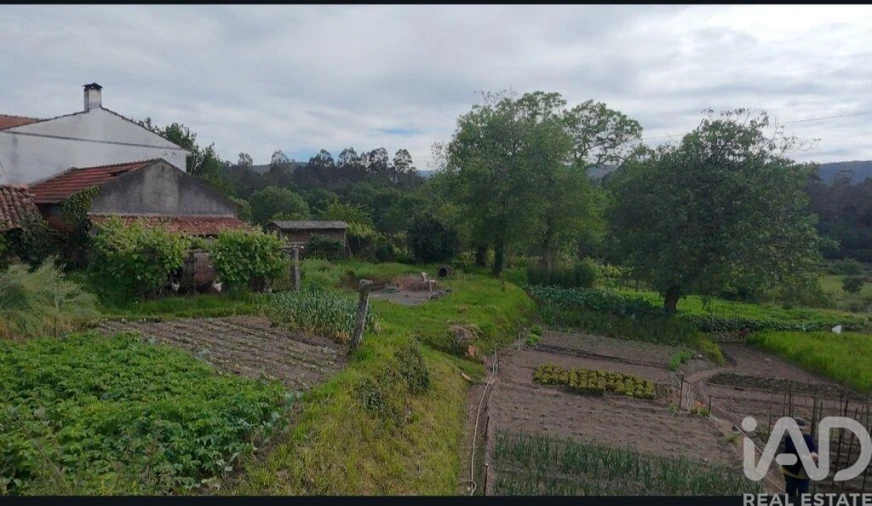 Moradia T2 para Venda em Coura Foto 30