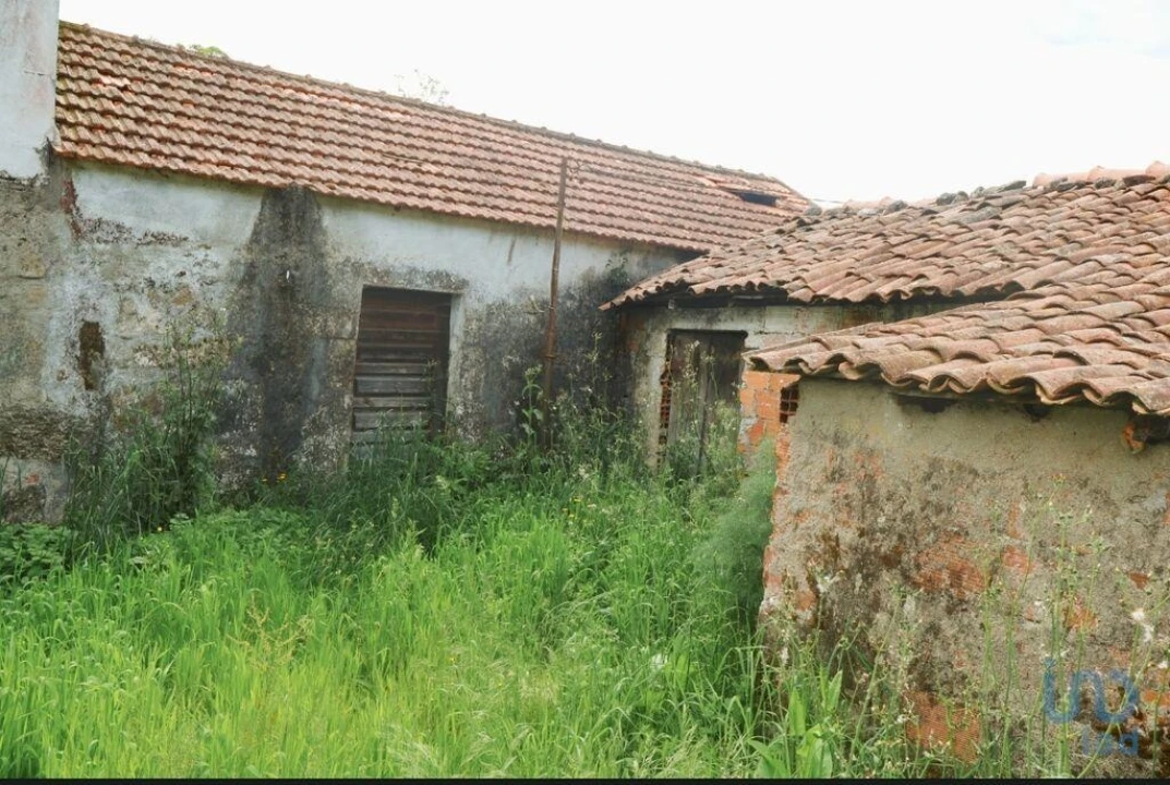 Moradia T2 para Venda em Coura Foto 4